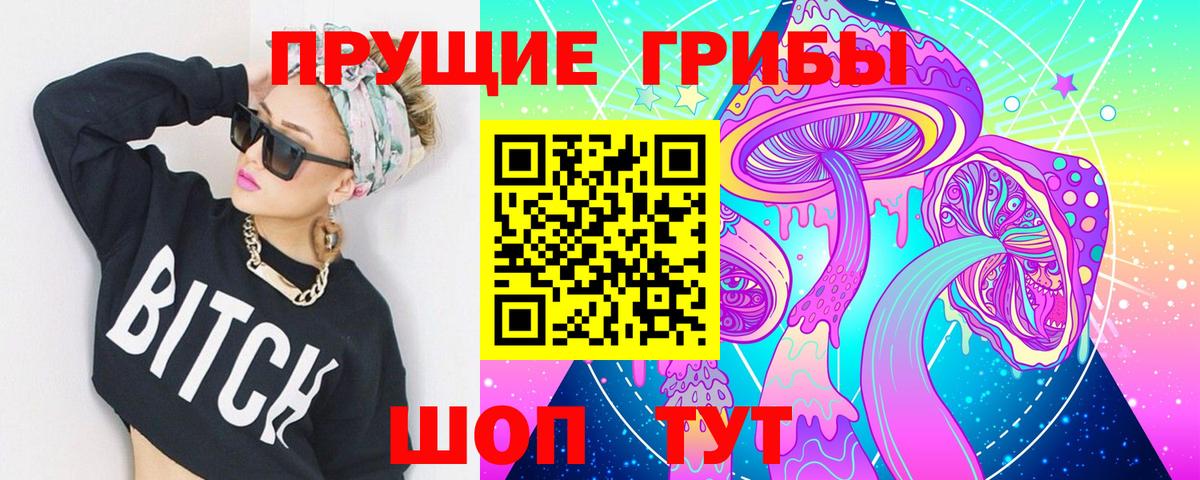 А ПВП Советский