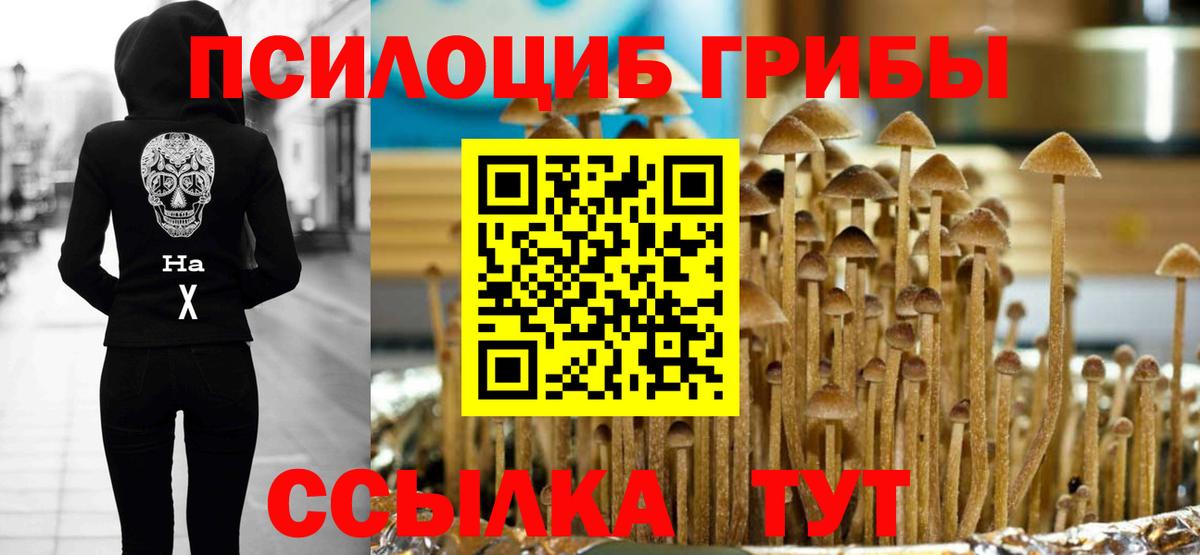 Галлюциногенные грибы прущие грибы Советский